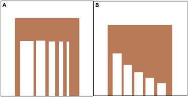 Два варианта постепенно уменьшающихся размеров отверстий. Peter Pongracz, iScience, 2024