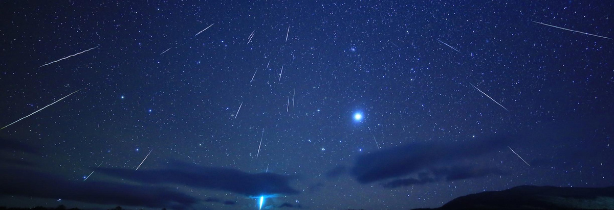 Фото из сети интернет