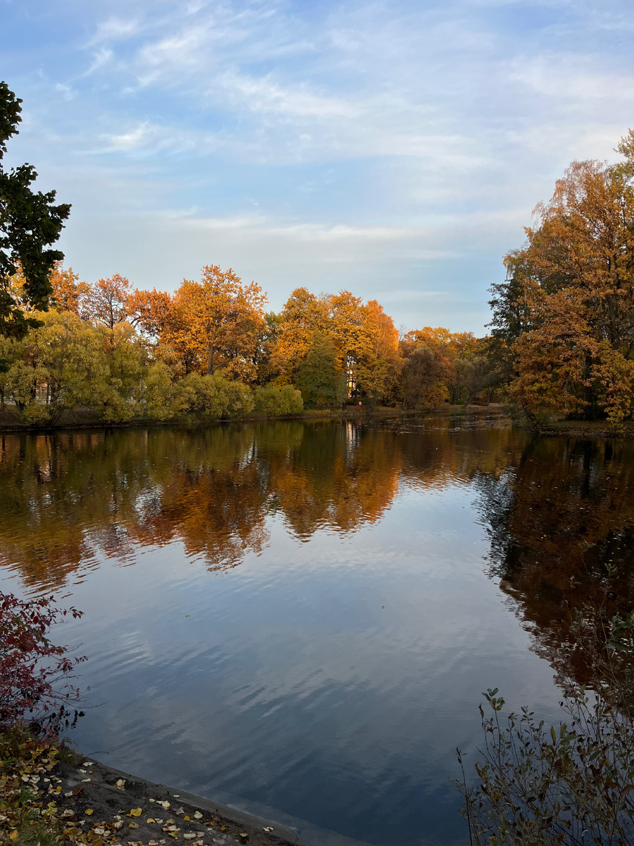Елагин остров 