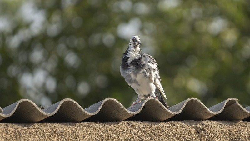 Фото: @wirestock / freepik.com