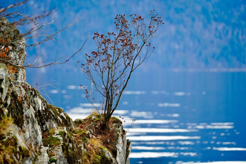    Село Яйлю в Республике Алтай. Источник: Андрей Сороко / "Толк"