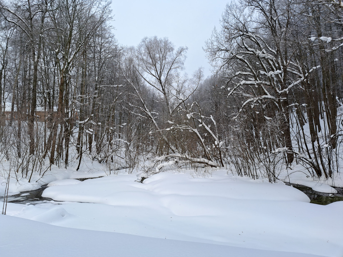 Небольшие снегопады ожидаются во Владивостоке.  Фото: Фото: ФедералПресс / Вера Романескул