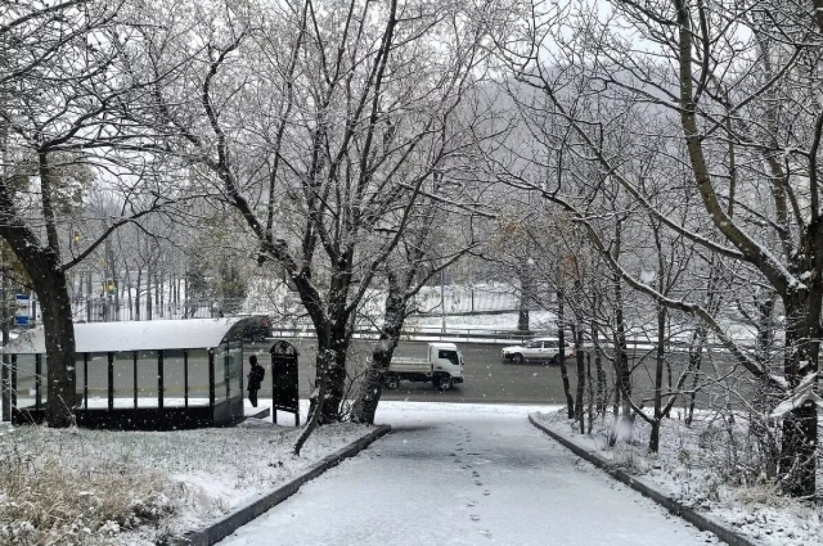    Небольшой циклон принесет снег и морозы на юг Камчатки