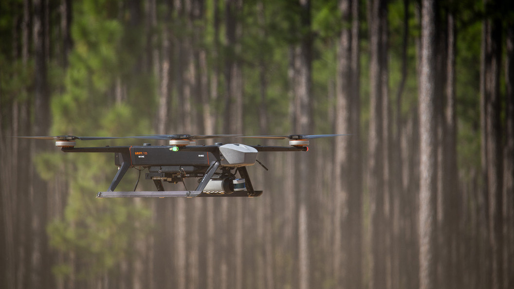    Фото: Samuel King Jr. /Globallookpress/