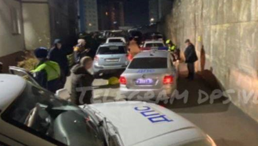    Источник фото: DPS VL