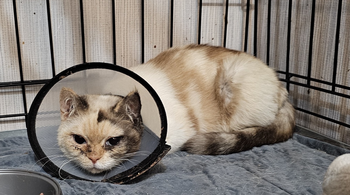 Фото автора. Маруся.