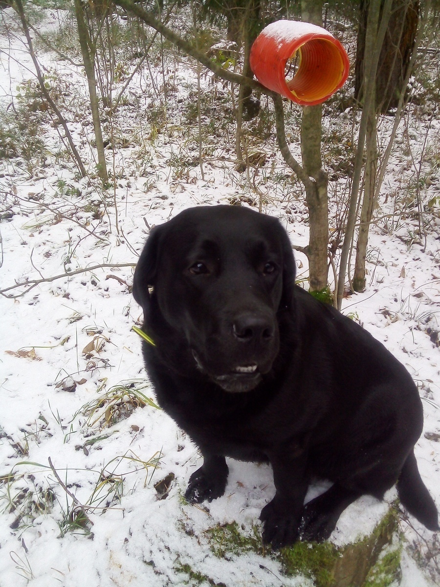 Фото автора.