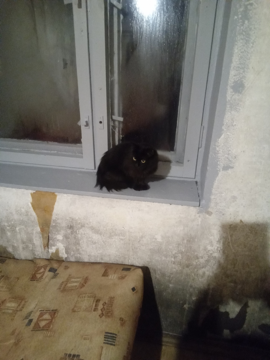 Фото автора.У нашей нет лишнего веса.