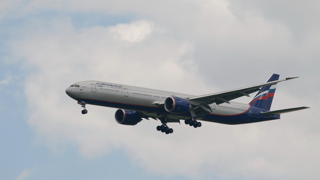    Фото: Maksim Konstantinov/Globallookpress