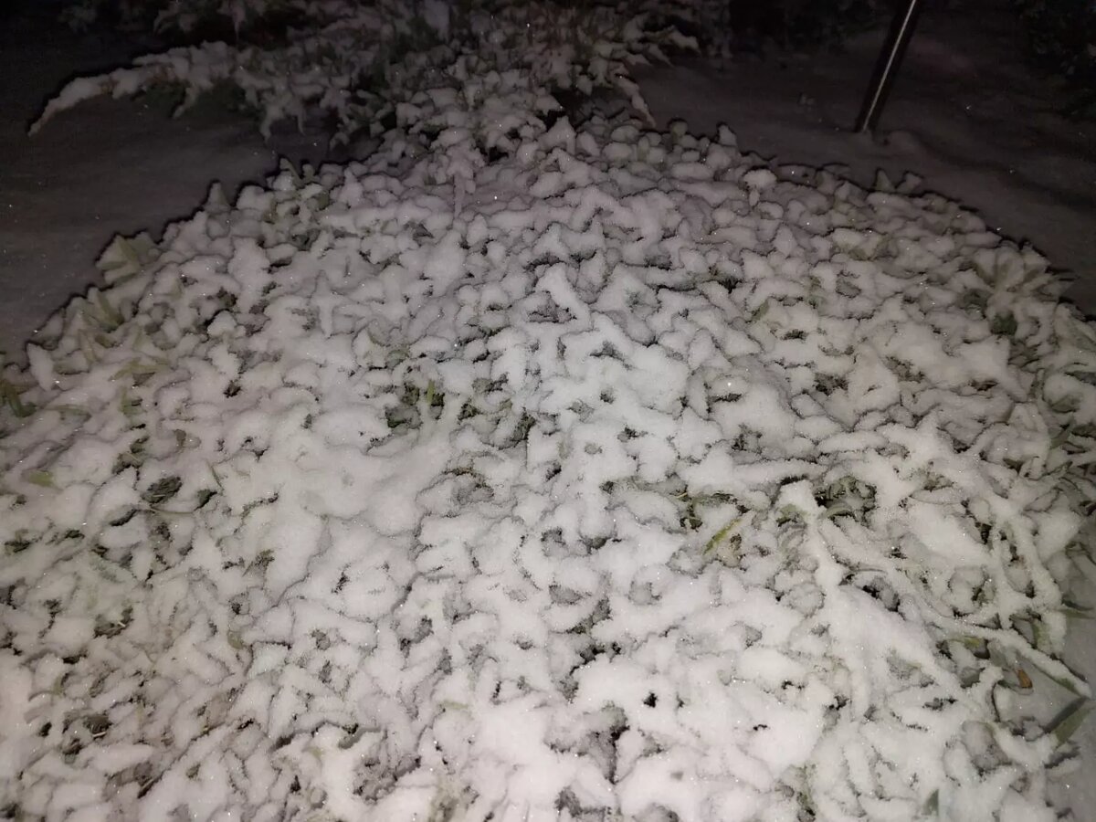     Источник: 56orb.ru