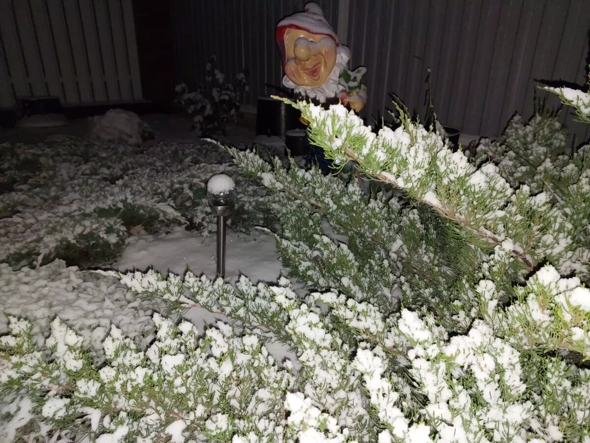     Источник: 56orb.ru