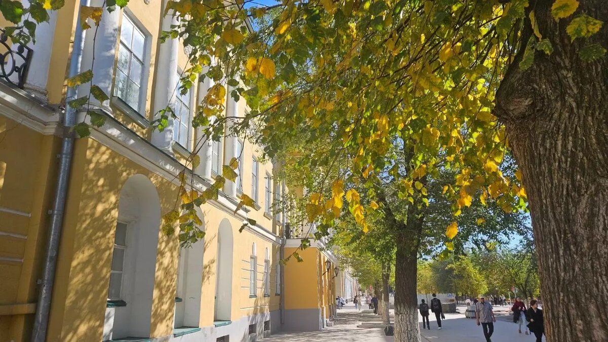     Источник: 56orb.ru