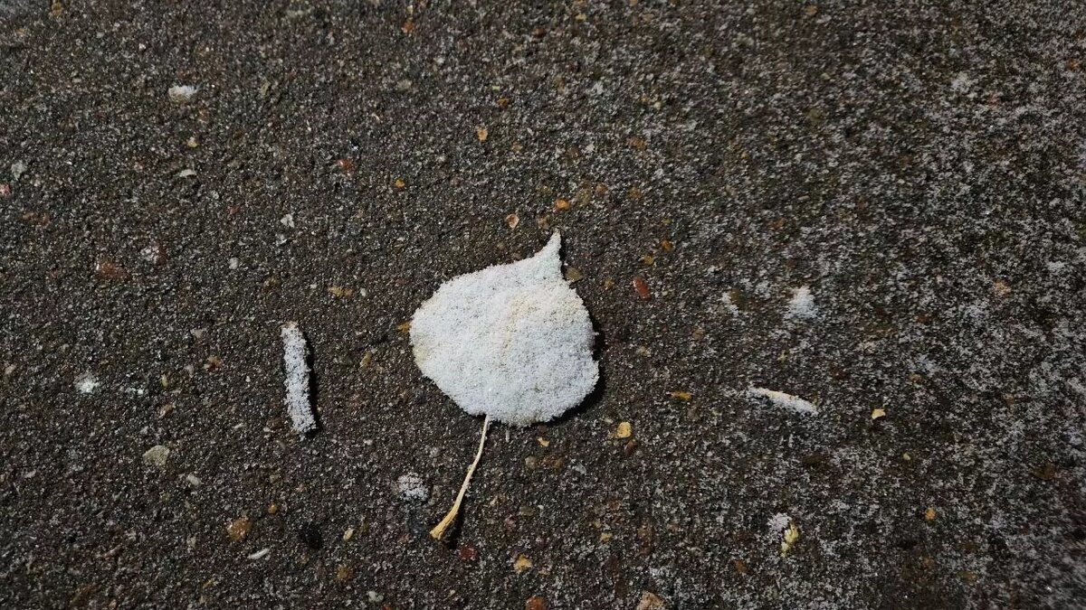     Источник: 56orb.ru