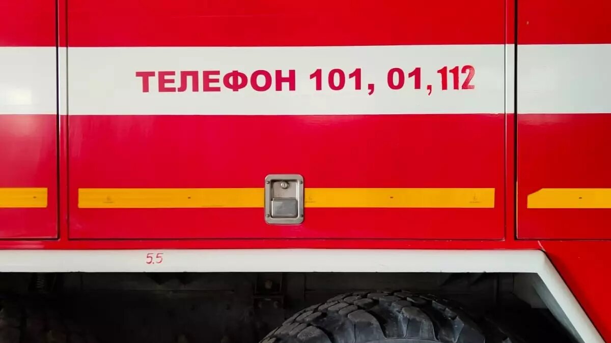     Источник: 56orb.ru