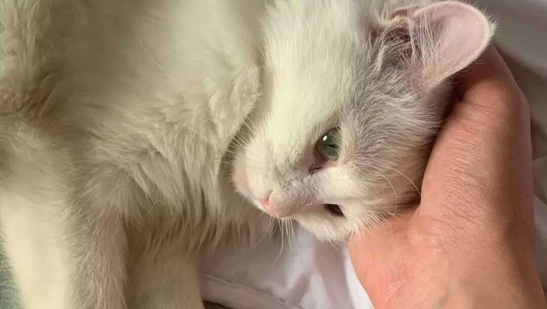     Источник: prmira.ru