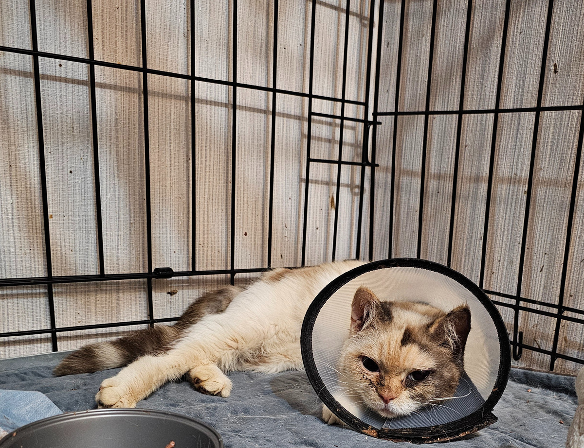 Фото автора. Маруся.