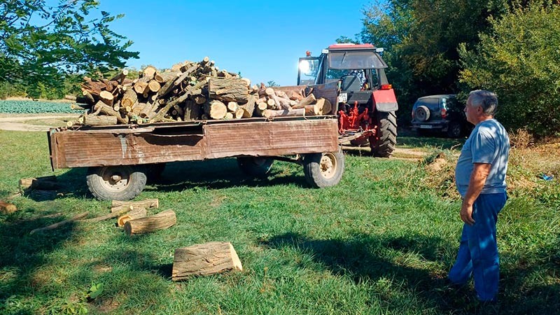    Поддержка земляков