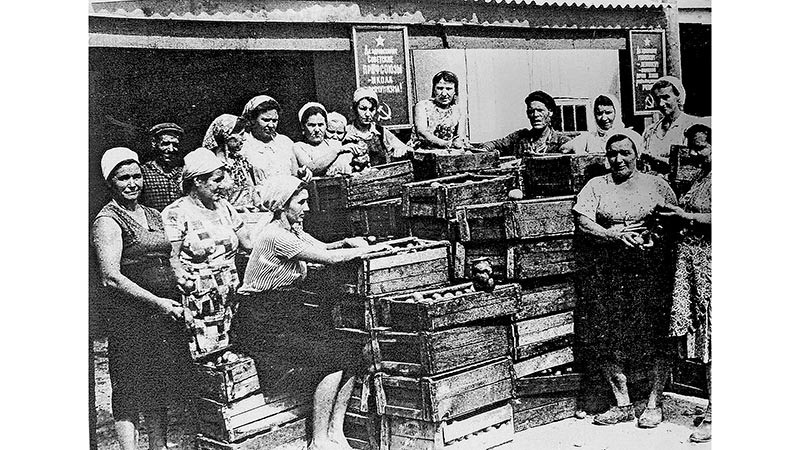    Такой профсоюз всем нужен