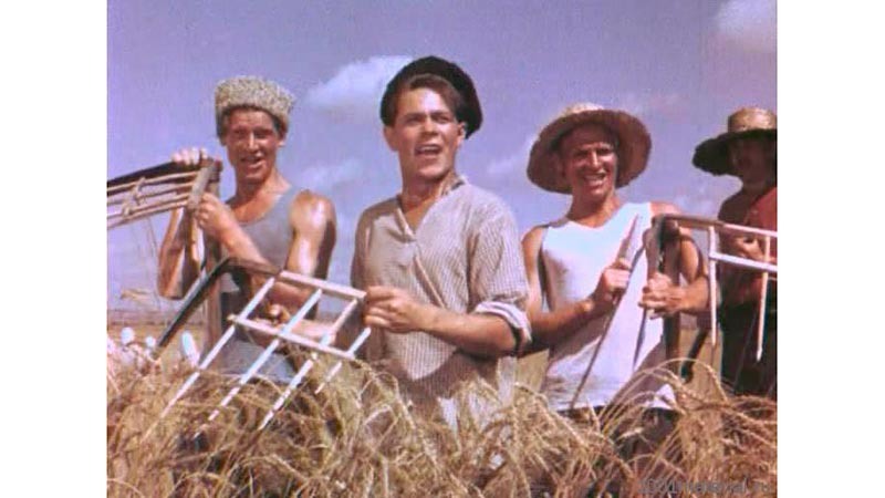    Адрес прежний: белый свет, нам известный сельсовет