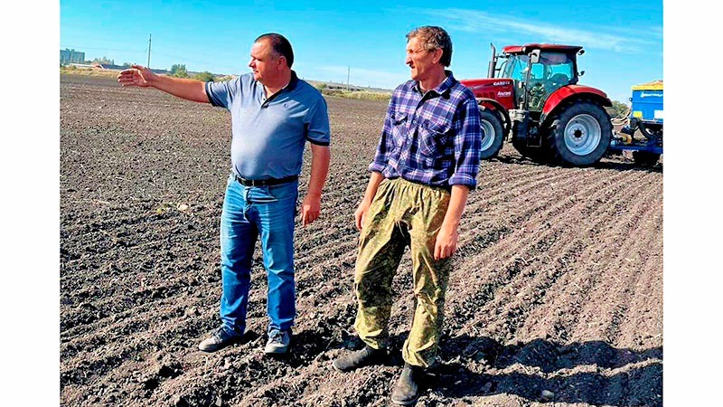    Поле любит порядок