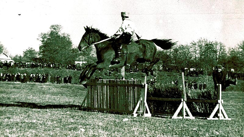    Коней здесь аллюром пускали