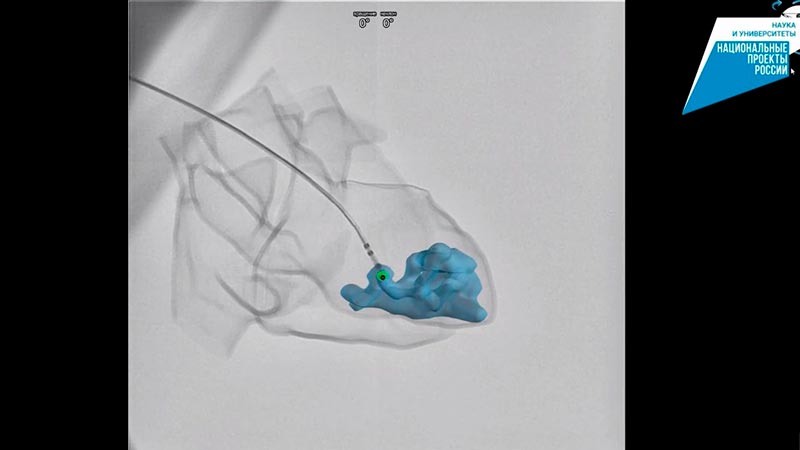    Первые в России…