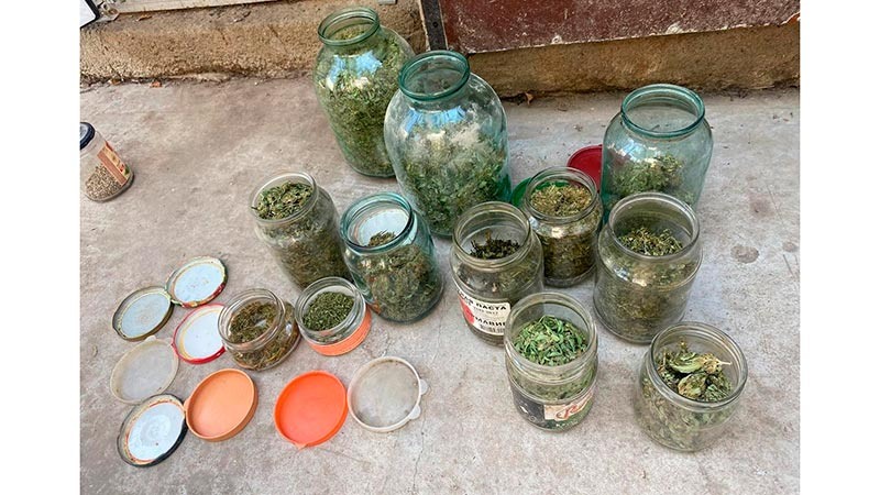    За хранение наркосодержащих растений на скамью подсудимых отправлен житель Курганинска