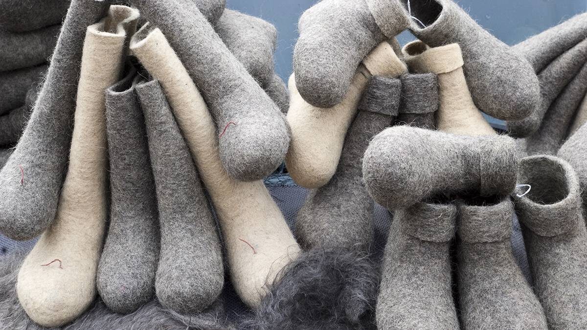    Фото: Shutterstock