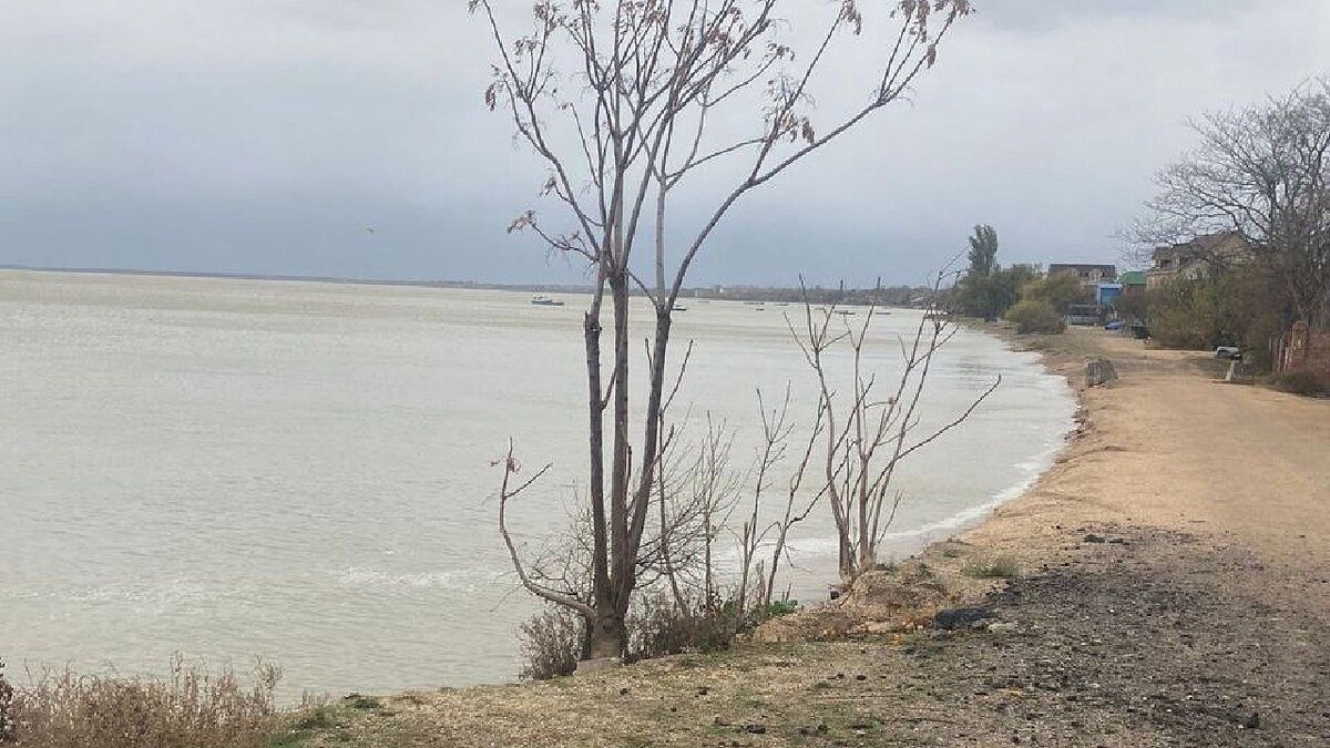   Фото: администрация города Ейска / t.me/gorodeisk