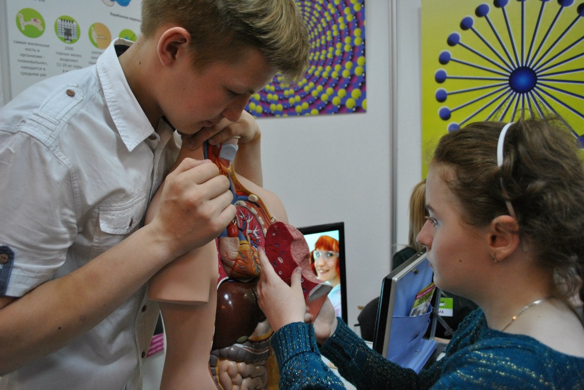 Куда жн пристроить селезенку?