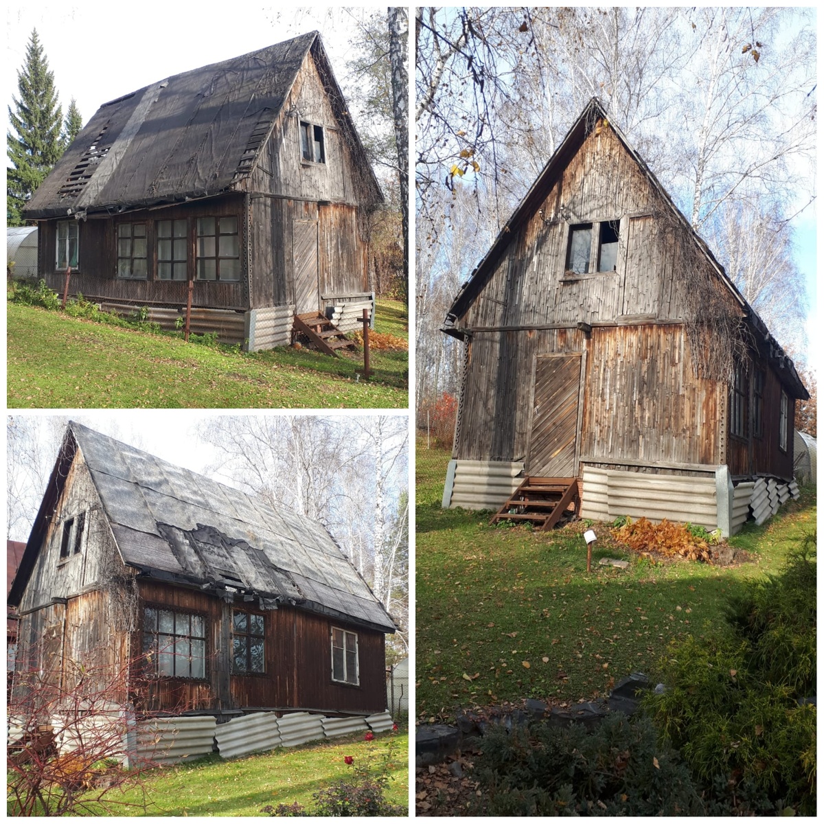 Вот он, красавец 🤦 Как я только не исхитрялась, чтобы он на фото моих красивых клумб не попадал!