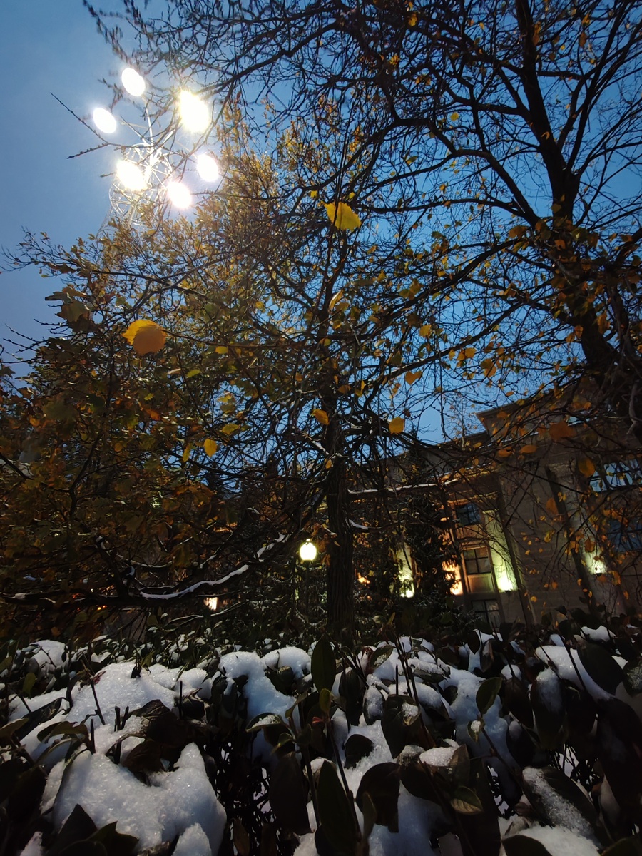 Первый снег