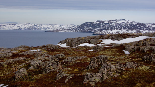    Сергей Царев Global Look Press