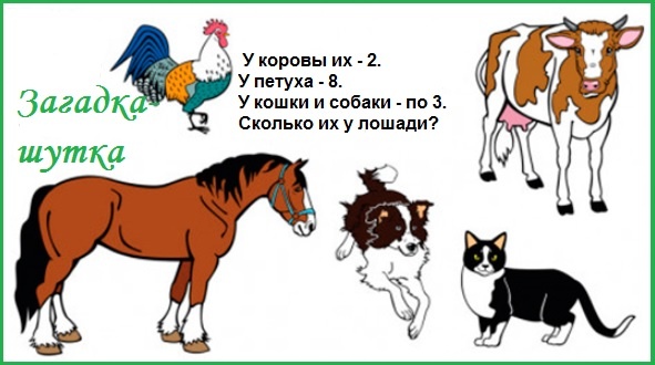  Деревенский двор