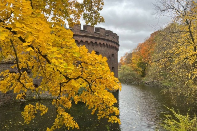   Фото из архива Калининград.Ru