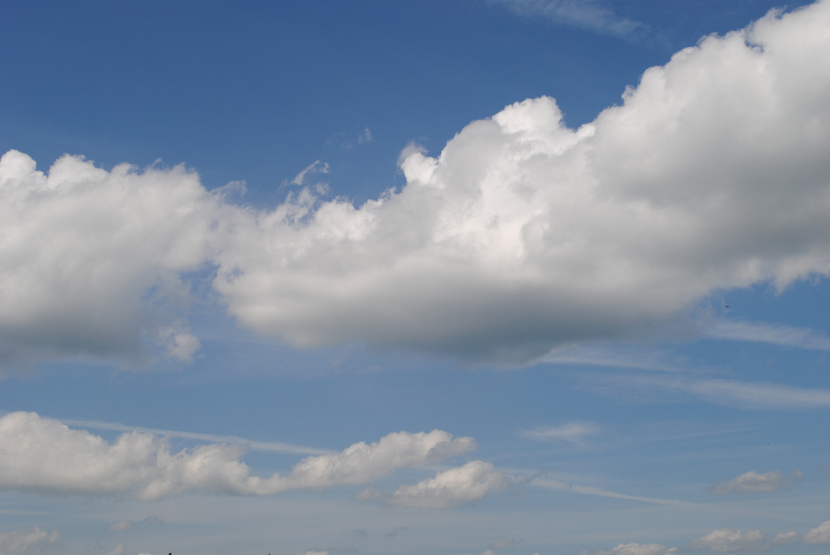 Фото из личного архива