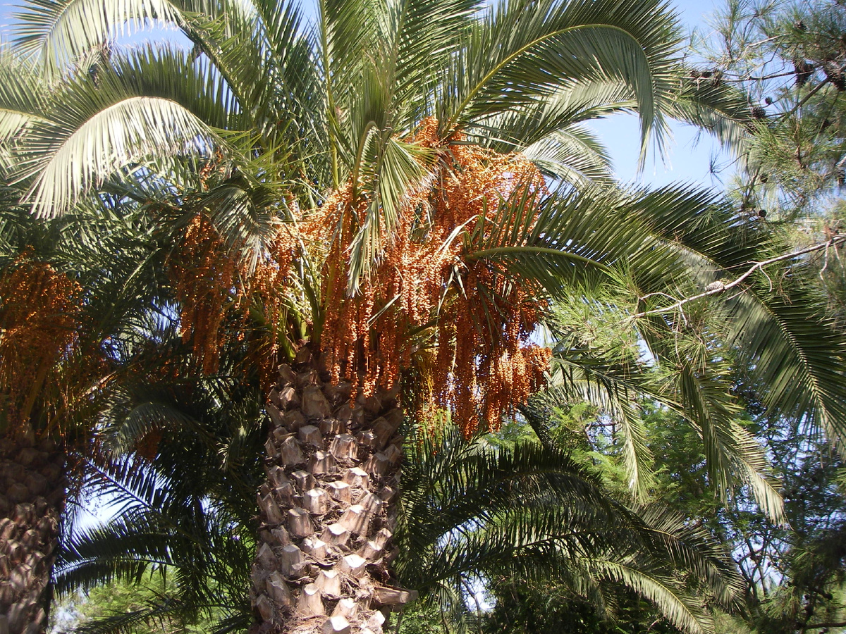 Фото из личного архива