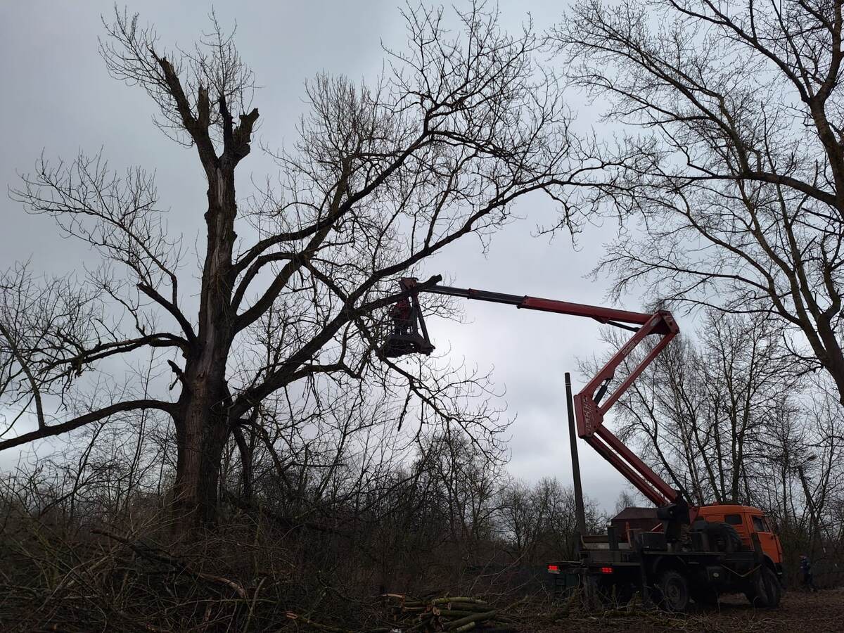 Фото автора.