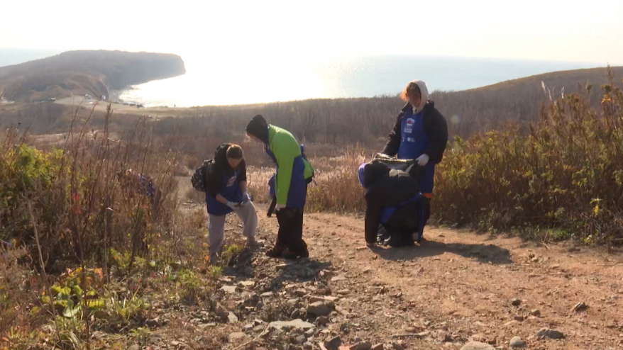    Источник фото: