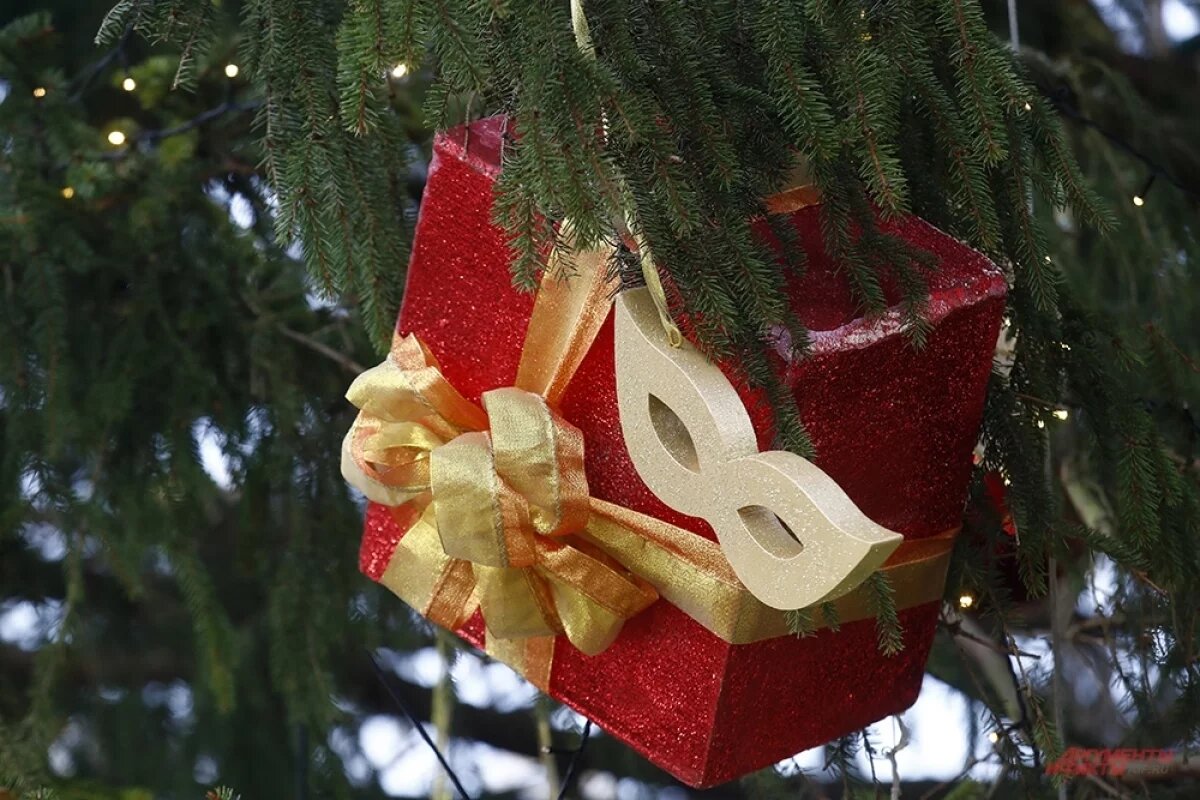    В Красноярске районные елки установят за 19 млн рублей