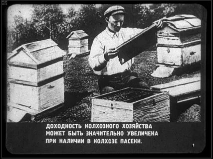 Кадр диафильма про пчеловодство.