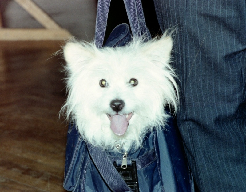    Фото: Виктор Лисицын/Globallookpress.