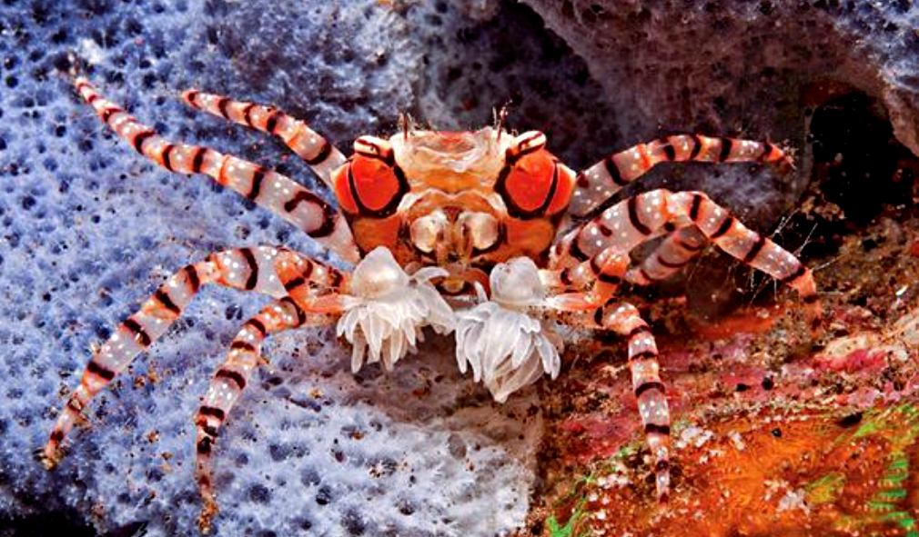 Источник фото: flickr.com