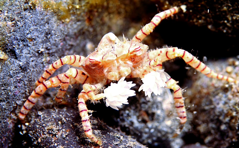 Снимок: shoes-web.ru