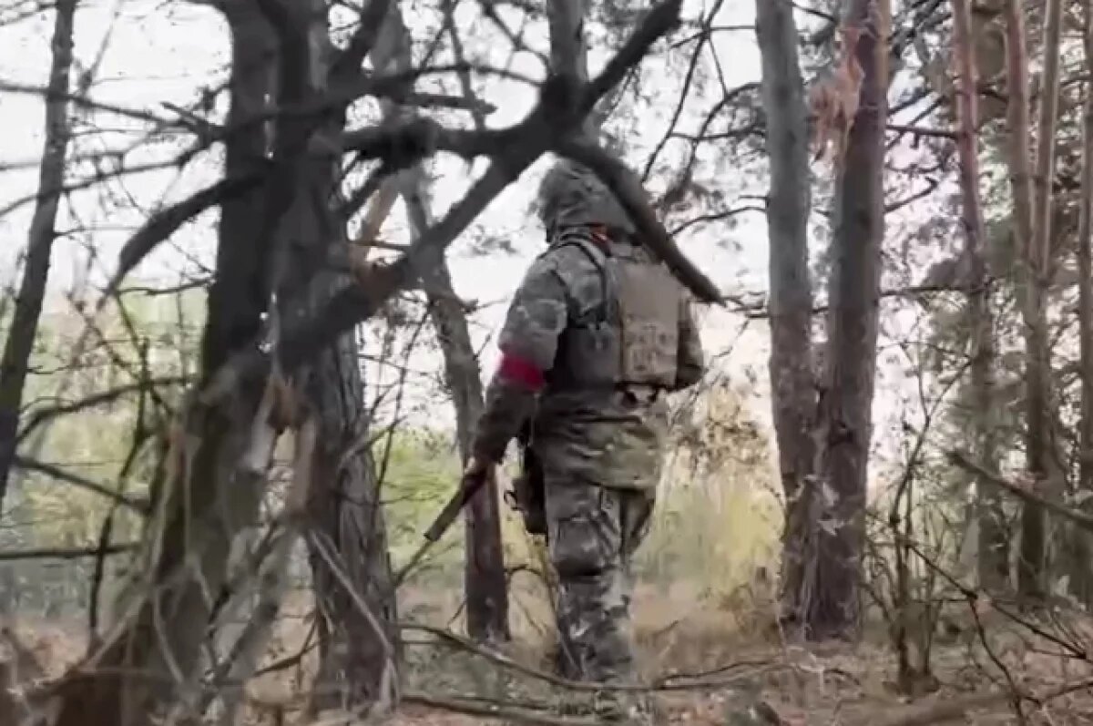    RT: морпехи ТОФ зашли в курское село Плехово и захватили опорный пункт ВСУ