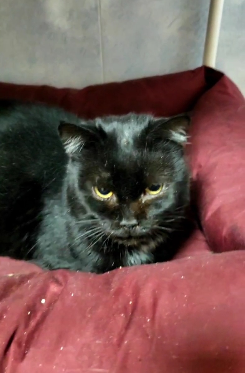 Валюшка лечится уже полгода