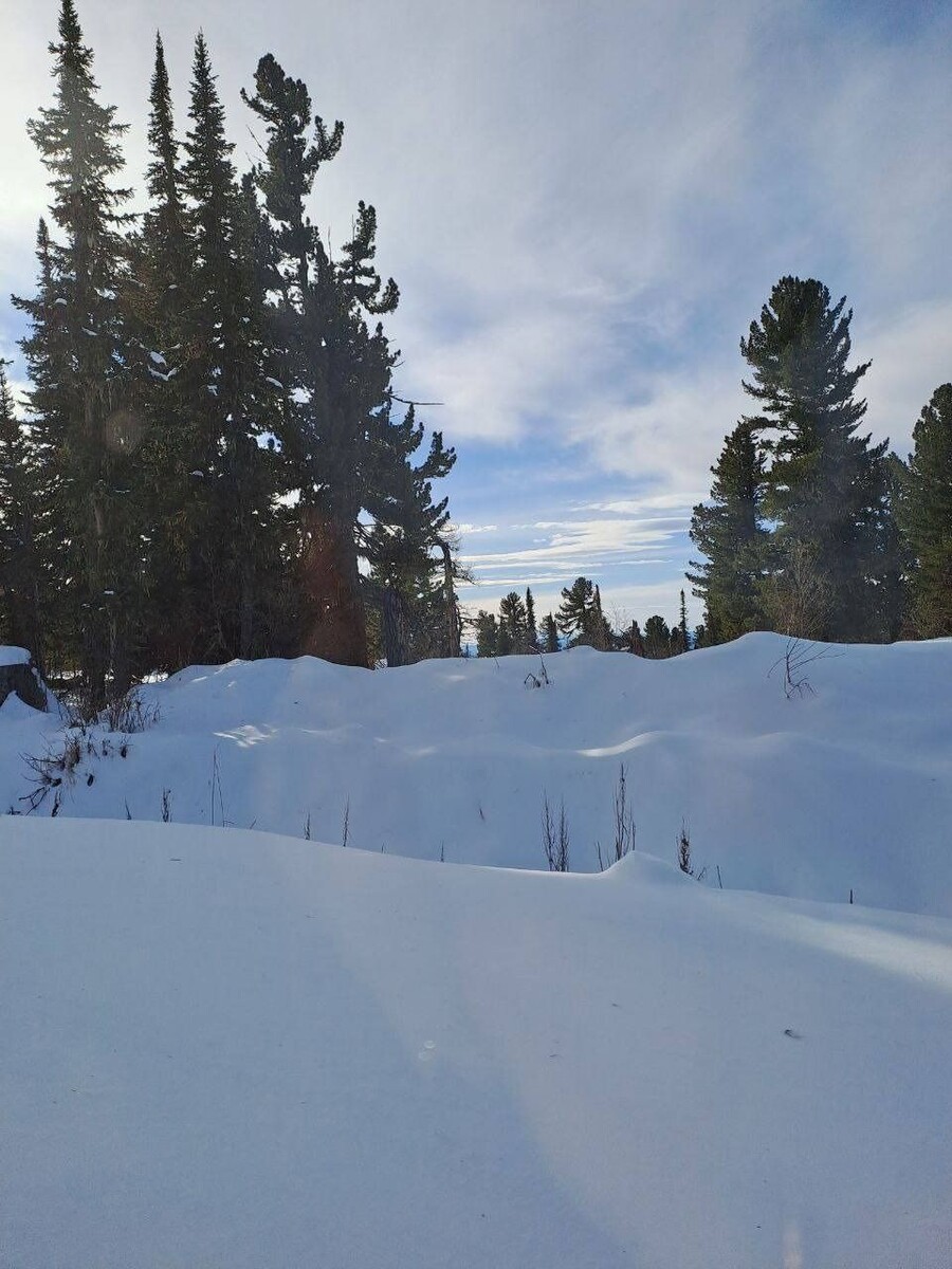    Снег в Горном Алтае. Источник: "Республика Алтай в Telegram"