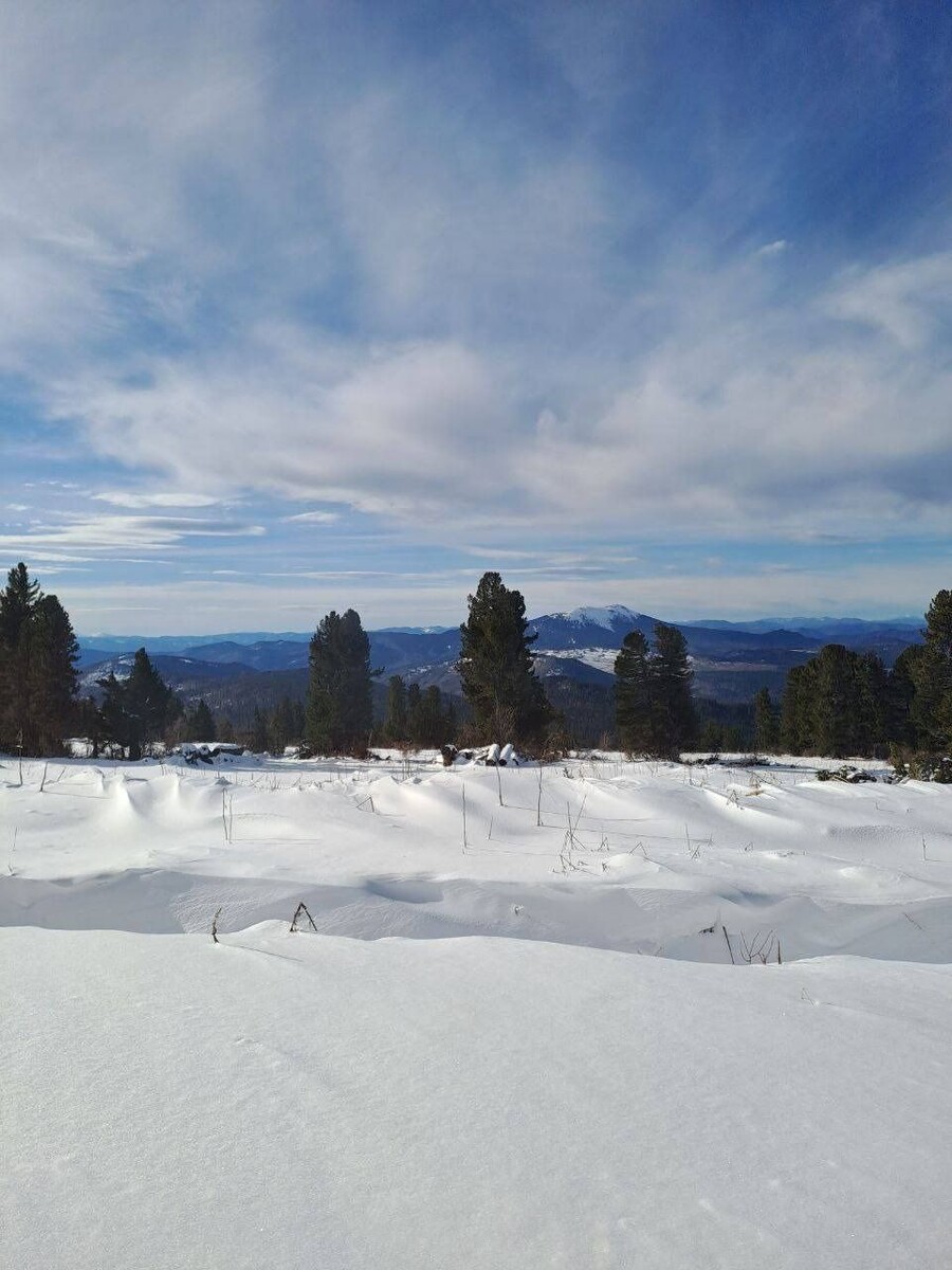    Снег в Горном Алтае. Источник: "Республика Алтай в Telegram"