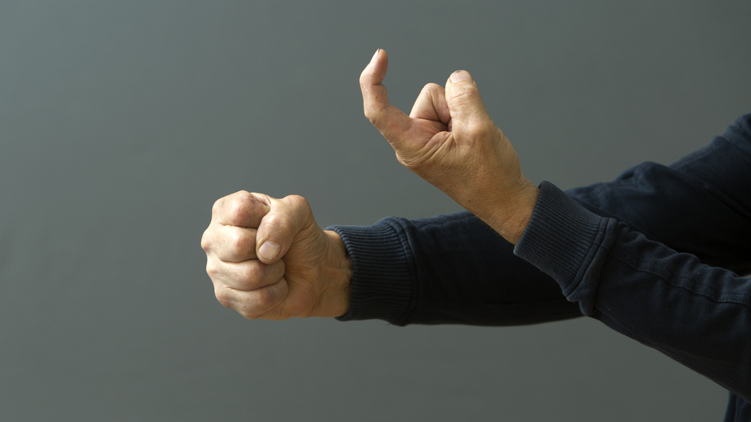    Фото: Nikolay Gyngazov/Globallookpress.