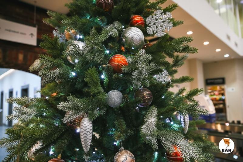    ЕАН / Новогодние елки станут дороже